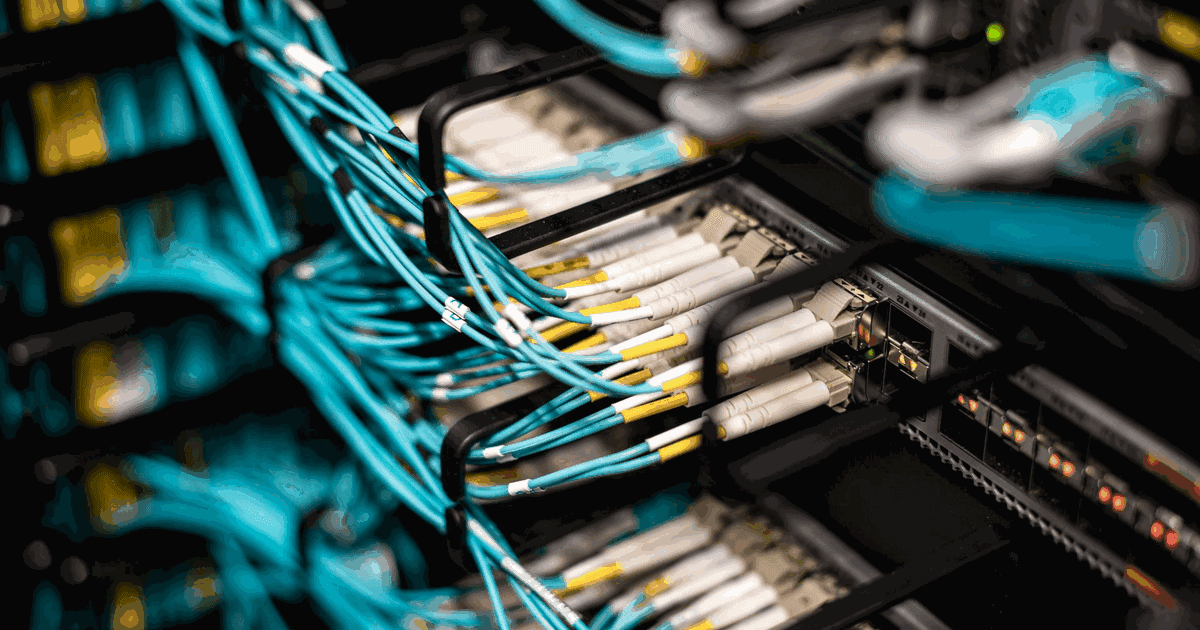 Fibre patch cords dressed through cable managers on a network rack, part of a structured cabling system in a UAE building